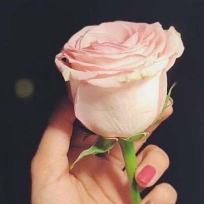 افرد حجاجك وخل عنك الهواجيس كلن يموت وحاجته ما قضاها 💔
