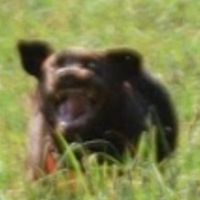 edeIgoat's profile picture. when you try to change your birthday and Twitter locks you out was @edelgoat