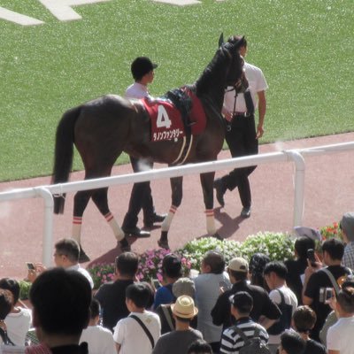 アイドルから、野球サッカー競馬など、公営競技各種。増田達至は母校の誇り。 ライオンズ（金子侑司、増田、栗山、松本航）犬鷲（浅村）セ（鯉、竜、虎（近本光司）オリ（村西良太）鷹（今宮 、中村晃、栗原、柳田）※球団よりも上記選手の個人応援にシフト気味。スポーツと公営競技を愛する田舎者。状況によりRTが多い場合があります。