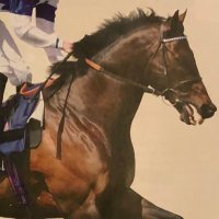 Oakgrove Stud(@OakgroveStud) 's Twitter Profile Photo