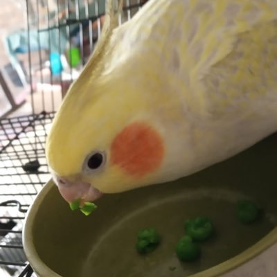 RuberCuberさんのプロフィール画像