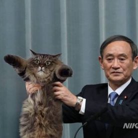 マーライオン 野生化した馬の出没相次ぐ 函館 南茅部 捕獲も追いつかず 古くから山野放牧 北海道新聞 どうしん電子版 T Co Fgyqpcqmbt 住宅街に馬w マーライオン 野生化した馬の出没相次ぐ 函館 南茅部 捕獲も追いつかず 古くから山野放牧 北海道新聞 どうしん電子版 T Co Fgyqpcqmbt 住宅街に馬w