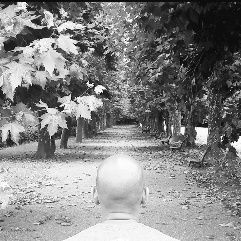 BaldMoneyGuy1's profile picture. Bald guy from the Bronx, chasing FI.
