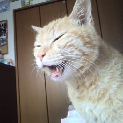 ye_17's profile picture. 