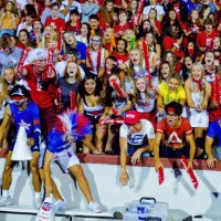 🦅THE NEST🦅 (@joplinsnest) 's Twitter Profile