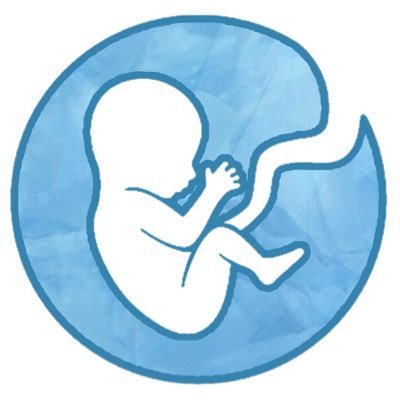 @bitlifebubble