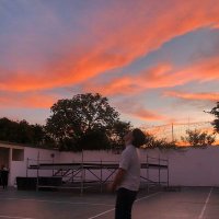 Gordo (@tomasverwimp5) 's Twitter Profile
