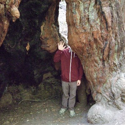 basteid's profile picture. The earth made you. Act like you appreciate it.