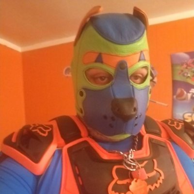 Gear puppy in Ohio engaged to @secapup who is also my alpha love chatting with other gear guys. Just say hi