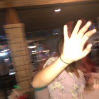 serenedog (@serenedog) 's Twitter Profile
