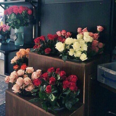 readhabd1's profile picture. ‏مرحباً إلى كل أصدقائي