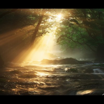 VXsmqIvx1FhJvQX's profile picture. 