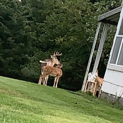 brianR124's profile picture. 