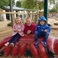 Sandra Tiernan (@tiernansandra) 's Twitter Profile Photo