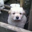 paul rio - @subwayding - Twitter