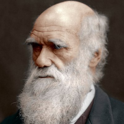latedev's profile picture. .NET Consultant and developer