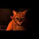 Sergio Rial - @hamacatealto - Twitter