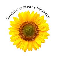 Sunflower Scheme (@sunflowerscheme) 's Twitter Profile