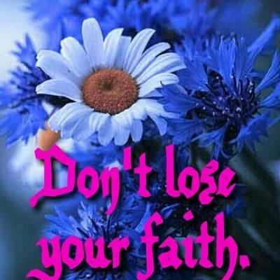 Nolutha12510797's profile picture. 