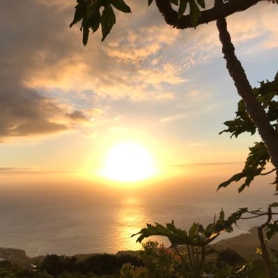 Laetiti31's profile picture. 🇷🇪