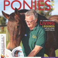 Ponies 24-7 (@ponies247) Twitter profile photo