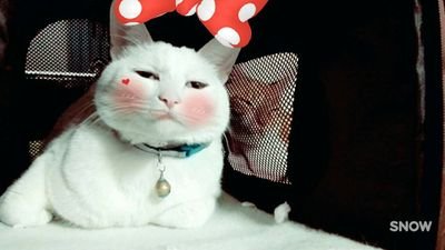 saketobamama's profile picture. 『息子』と『娘』が弓道してます。m(_ _)m