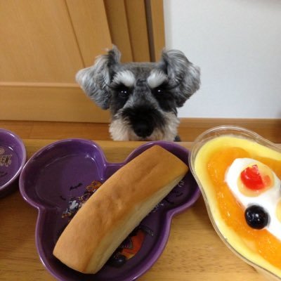 趣味でラジコン ヘリを飛ばしています。昨年、10年以上飛ばしていた飛行場が使えなくなり、現在は埼玉県で飛ばしています。遊覧飛行しかできないのですが楽しんでいます。
