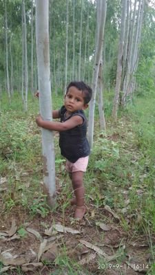 koteswarraom122's profile picture. msc bed