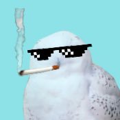 ささみさんのプロフィール画像
