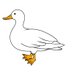 パート (@pato_duck2) Twitter profile photo パート (@pato_duck2) Twitter profile photo
