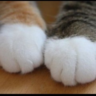 Sisv0Dn53q6Eg8h's profile picture. 