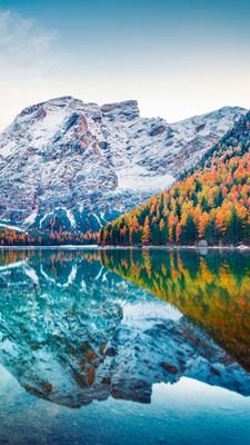 GaiBVzsbFUStTCJ's profile picture. 