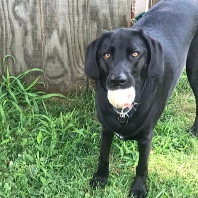 AbbeyGuzman12's profile picture. 