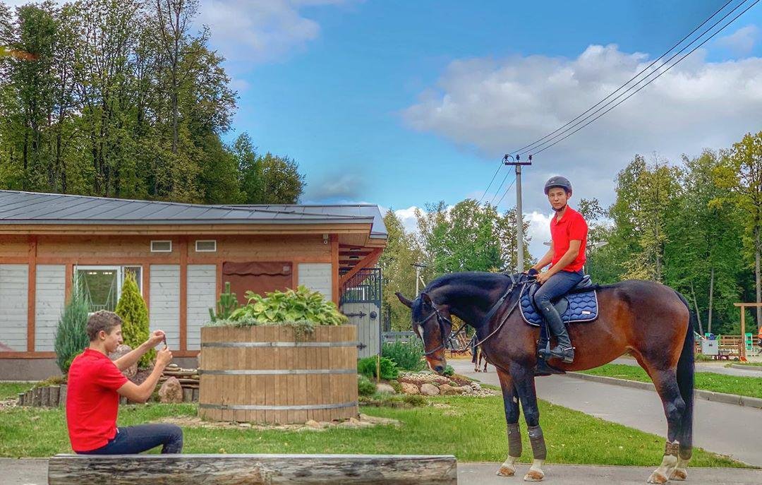 Henrique_Negao_'s profile picture. My horses Coco and Spart training and rest , showjumping,