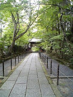 大阪の南の果て在住☆　楽しいお酒と音楽と海が大好き♪　愉快な仲間たちに囲まれてお酒を飲む時間が幸せ過ぎる今日この頃＾＾