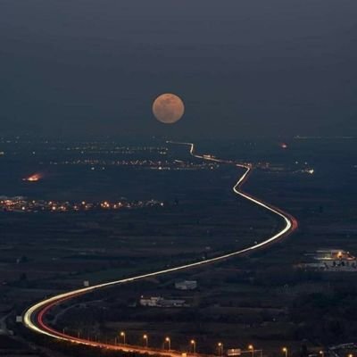 Mm12644384's profile picture. 