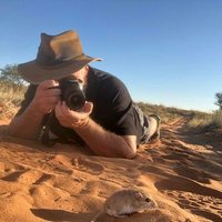 Jan A Venter 🇿🇦 (@janbuffel) 's Twitter Profile Photo