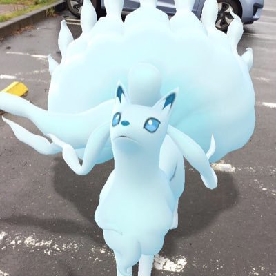 ポケモン枠(っ'-')╮ =͟͟͞͞◓ﾌﾞｫﾝ