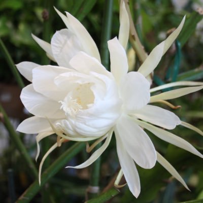 hrs_tshr's profile picture. 