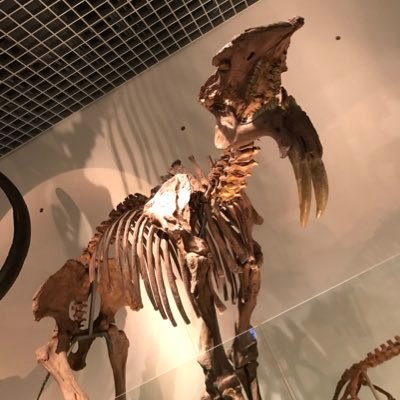 特筆することないかな。 ダラダラと続けていきます。 なんか、応募アカになってるな。まあ、その辺は適当に。たまにちゃんと呟いてる。44DT
