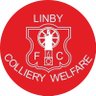 FcLinby's profile picture. Linby CWFC .Formed 1892. Notts FA Senior Trophy winners 2025 . 5 teams 25-26. 1sts CMA Prem Div South. Res CMADiv1 East. U19 dev NSL. U16s NYL .Sunday Vets EMVL