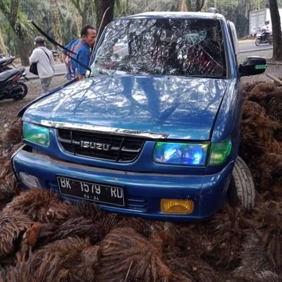 kingdaniel6's profile picture. 