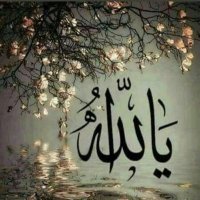 mohd5577058 (@mohd5577058) 's Twitter Profile