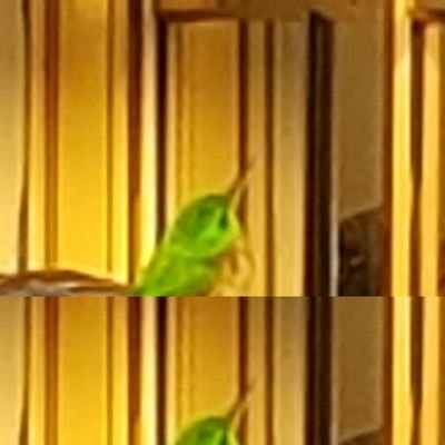 AmosMar85335481's profile picture. Amante de la misericordia de Dios