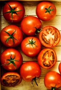 TastyLiving's profile picture. Tasty Living, best recipes at your fingertips.