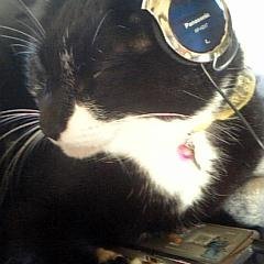 asahi8500's profile picture. 