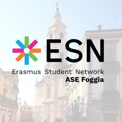 La nostra mission è quella di promuovere la mobilità studentesca. Il nostro motto: 