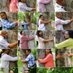TreesOfDelhi (@treesdelhi) Twitter profile photo TreesOfDelhi (@treesdelhi) Twitter profile photo