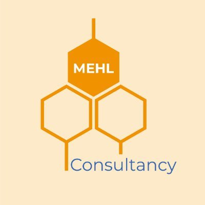 Advisory services for Modern Foreign Languages, Mentoring,Education, Health &
Learning. Raising Achievement and Developing International relationships.