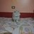 DoaaNas29853283's profile image